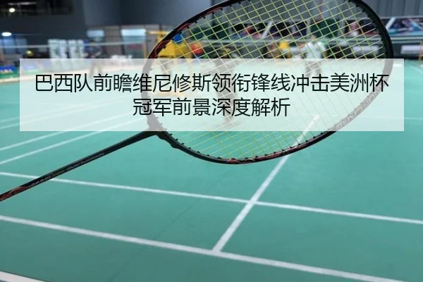 巴西队前瞻维尼修斯领衔锋线冲击美洲杯冠军前景深度解析（leyu）
